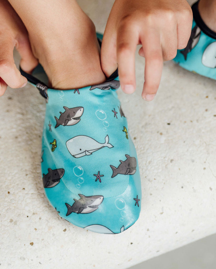 Pantofole da acqua Bolle di squalo